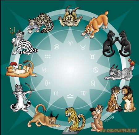Else chinese astrology compatibility rabbit and tiger people born
