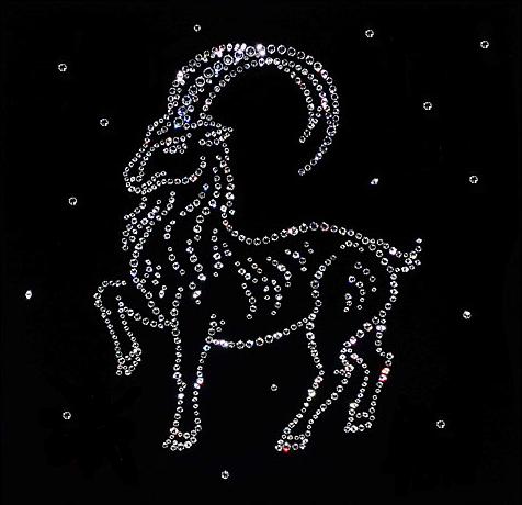 Zodiac sign month december
